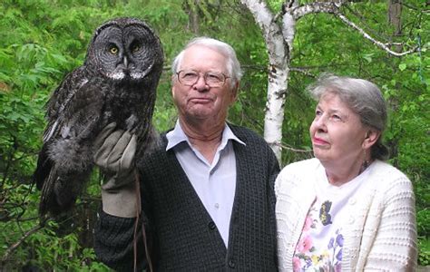 The Great Gray Owl, Manitoba's Provincial Bird.