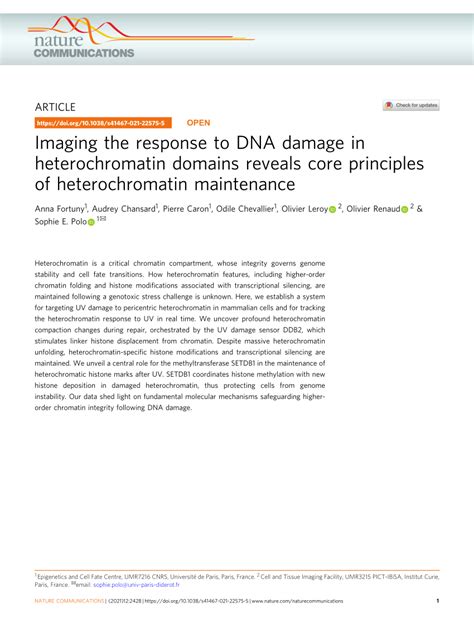 Pdf Imaging The Response To Dna Damage In Heterochromatin Domains