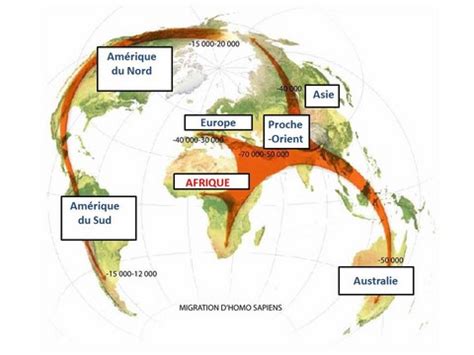 la longue histoire de l humanité et des migrations 6ème evaluation