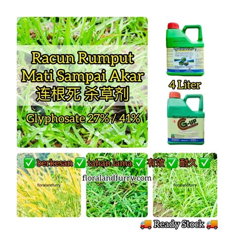 Racun Rumput Rumpai Lalang Mati Akar L Weed Killer Glyphosate