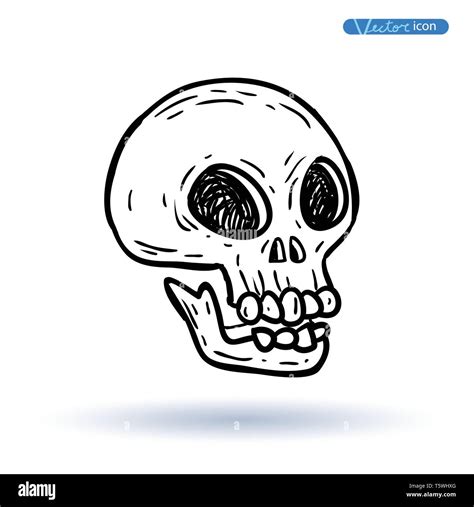 Skull Cartoon Icon Vector Illustration Stock Vector Image Art Alamy