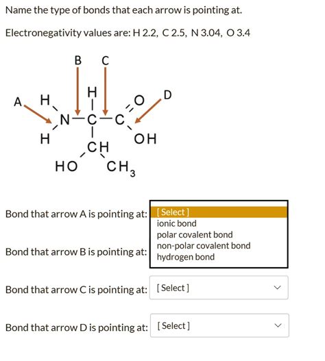 Solved Name The Type Of Bonds That Each Arrow Is Pointing At