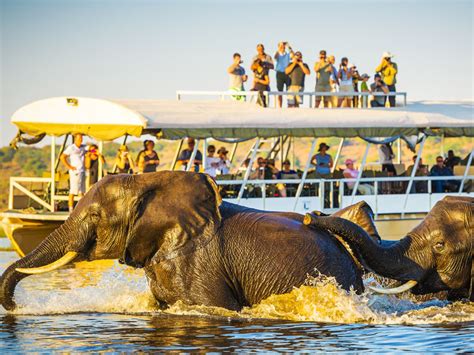 Victoria Falls And Chobe 5 Days 4 Nights Rufaro