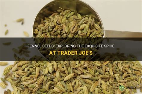 Fennel Seeds Exploring The Exquisite Spice At Trader Joe S Shuncy