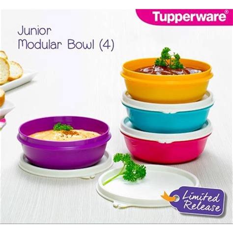 Jual Tupperware Junior Bowl Set Isi Wadah Toples Bumbu Bekal Lauk