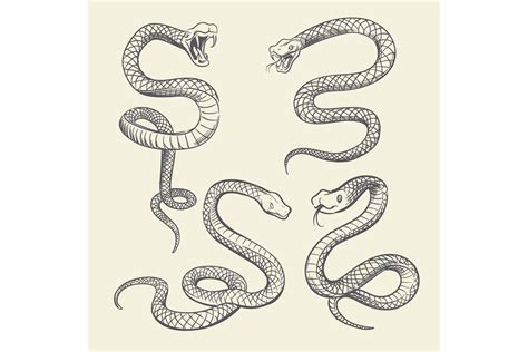 Hand Drawing Snake Set Wildlife Snakes Tattoo Vector Design