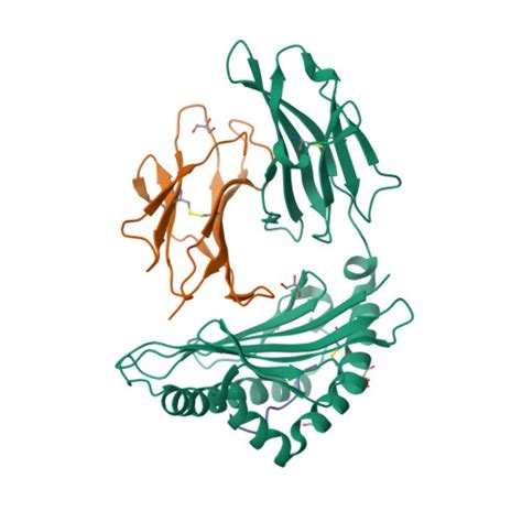 RCSB PDB 1UXS CRYSTAL STRUCTURE OF HLA B 2705 COMPLEXED WITH THE