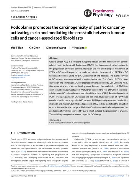 PDF PDPN Promotes The Carcinogenicity Of Gastric Cancer Via