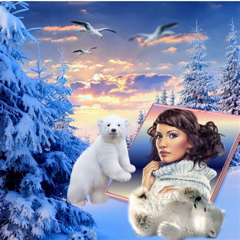 It Smichelle S Wildlife Frames Playful Polar Bears Winter Wildlife