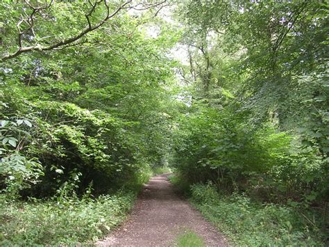 Path Through Pondhead Inclosure New © Jim Champion Geograph Britain And Ireland