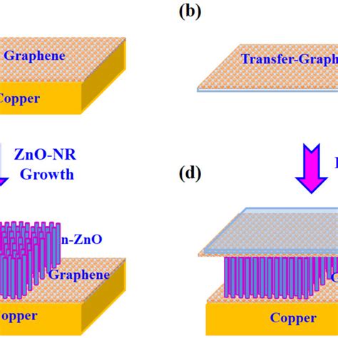 Schematic Diagrams Of The Fabrication Process For The Graphene Zno Nrs