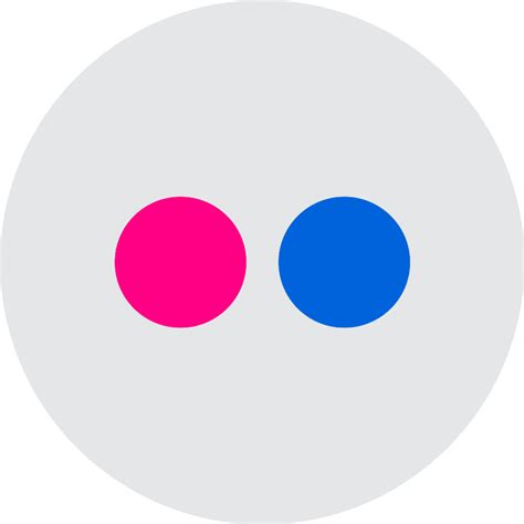 Flickr Icon