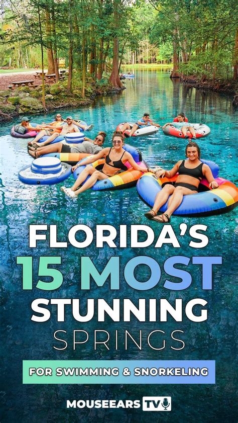 Florida S 15 Most Stunning Springs For Swimming Snorkeling Florida