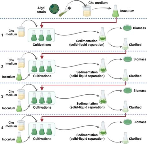 Process Flowchart Of Microalgae Culture Recycling Steps Standard