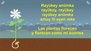 Tremüley anümka Crece la planta canción en Mapudungun Acordes Chordify