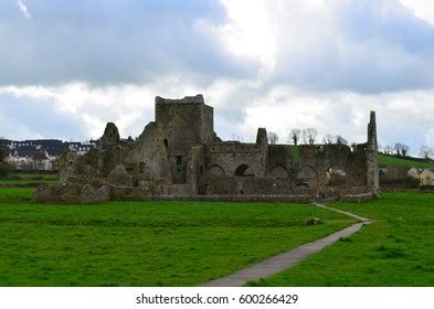 Old Stone Ruins Hore Abbey County Stock Photo 600266429 | Shutterstock