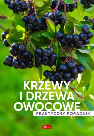 Krzewy I Drzewa Owocowe Poradnik Praktyczny Ksi Ka