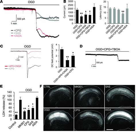 Extrasynaptic Glutamate Release Through Cystine Glutamate Antiporter