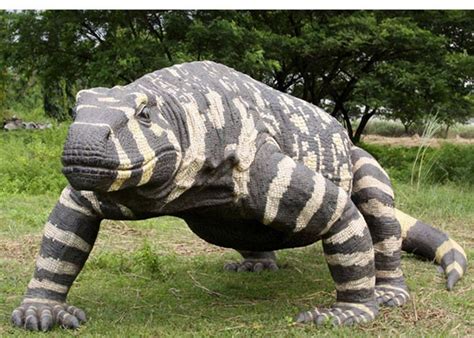 Megalania Giant Bells Monitor Extinct Animals Miniature Animals