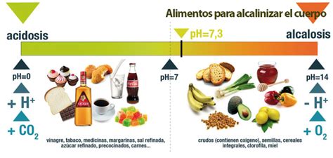 Consejos Para Conseguir Un Cuerpo Alcalino Consejos Del Conejo