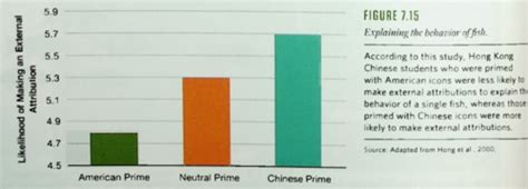 Lecture 15 Multicultural People Flashcards Quizlet