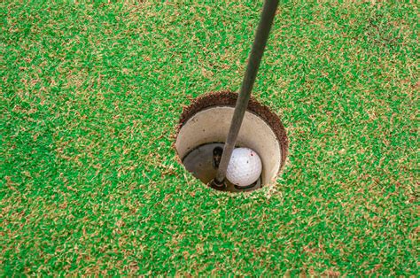 Golf Ball In Hole Free Stock Photo Public Domain Pictures