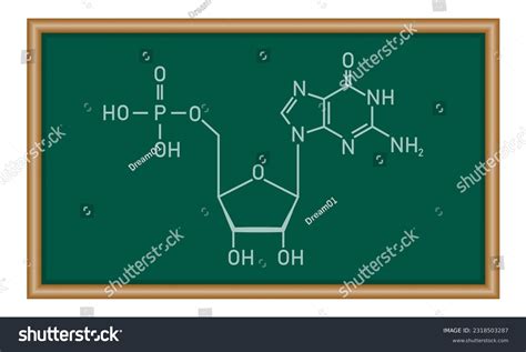 Chemical structure of DNA nucleotide. Three - Royalty Free Stock Vector ...