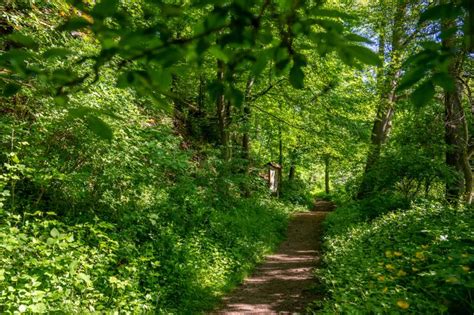 Wandern In Lieblichen Auenlandschaften Und Mediterranen Mittelgebirgen