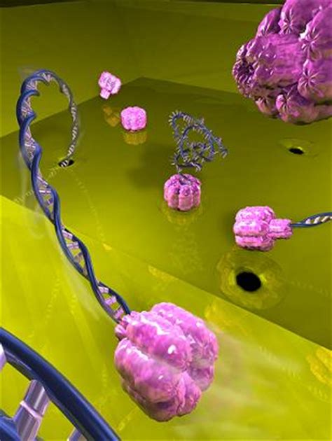 Nanotechnology Now Press Release Fitting A Biological Nanopore Into