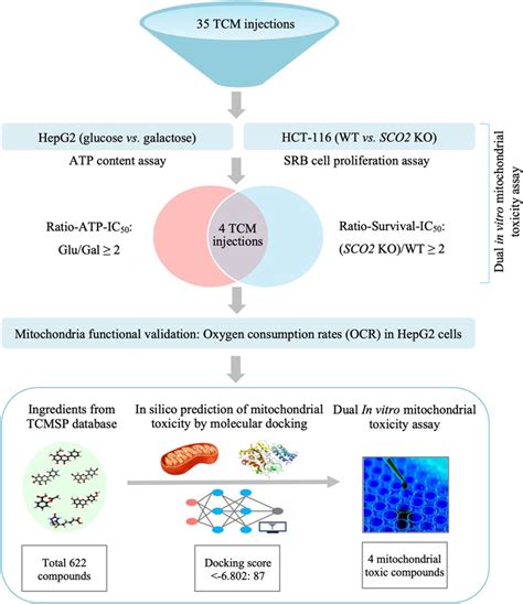 Frontiers Mitochondrial Toxicity Evaluation Of Traditional Chinese