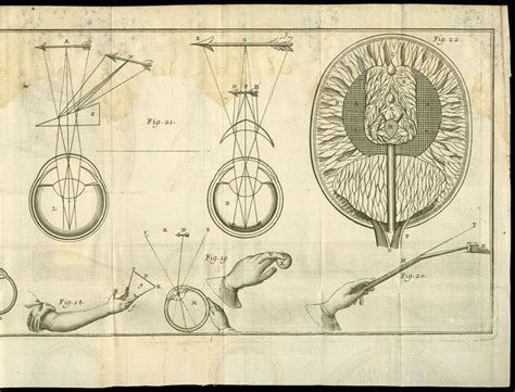 Descartes Rene Descartes Scientific Illustration Modern Philosophy