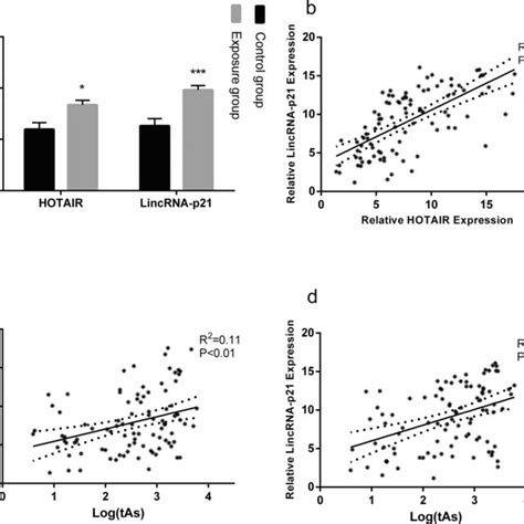 Arsenic Exposure Promotes Hotair And Lincrna P Expression A Total