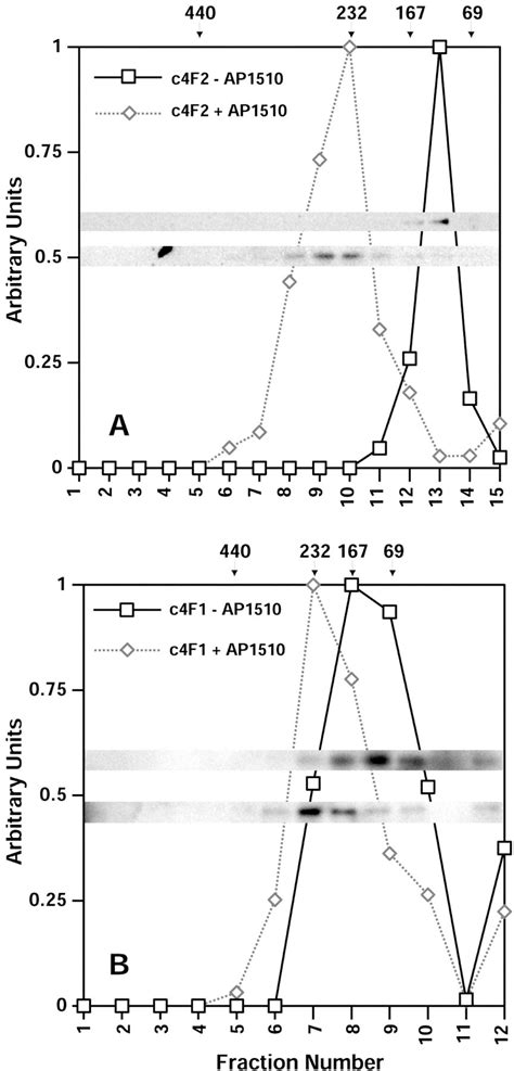 Activation Of C Abl Kinase Activity And Transformation By A Chemical