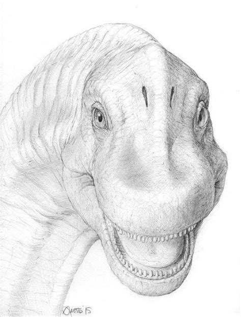 Brachiosaurus Artwork By Brett Gross Dibujo De Dinosaurio Dinosaurio Png Arte De Dinosaurio