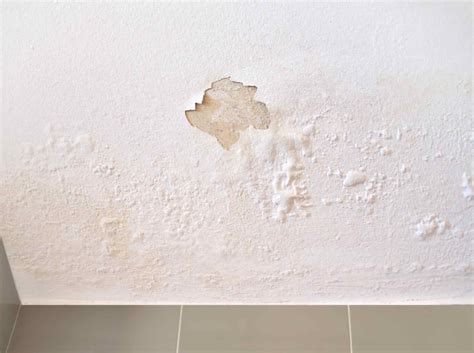 What To Look Out For Warning Signs Of Leaking Roof Bulldog Builders