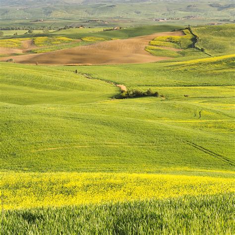 Tuscany Landscape By Stocksy Contributor Marilar Irastorza Stocksy