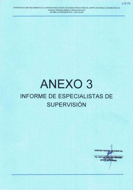 Informe De Especialistas De Supervisi N Romani Pablo Udocz