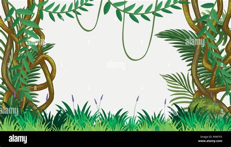 A Jungle Template with Vine illustration Stock Vector Image & Art - Alamy