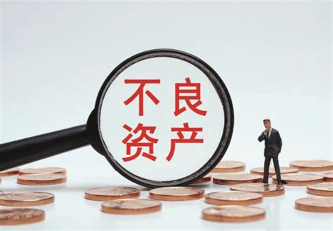 不良资产处置过程中若干问题解决方案 公司新闻 保管网