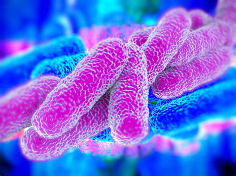 Legionella cos è Prevenzione e Bonifica DEPURTECNICA