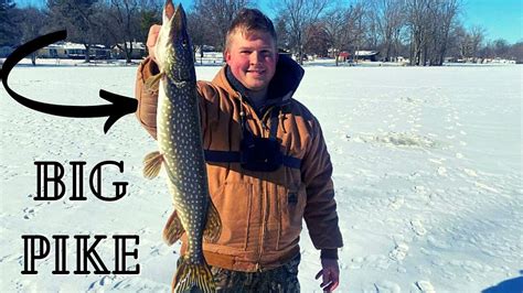 BIG PIKE Caught While Ice Fishing For Panfish MULTISPECIES YouTube