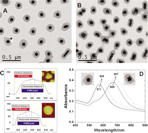 Tem Images Of Au Pnipam Core Shell Hybrid Nanogels Of Spherical A And