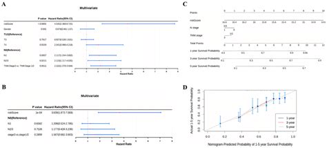 Construction Of A Nomogram For Os Prediction In Escc A B Univariate