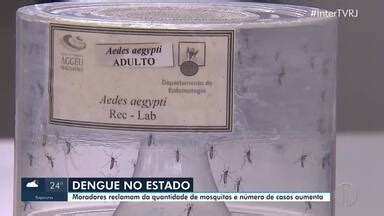 Rj Inter Tv Edi O Casos De Dengue Em Alta No Estado Do Rio