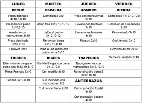 Rutina De 4 Días De Volumen Musculacion Para Principiantes