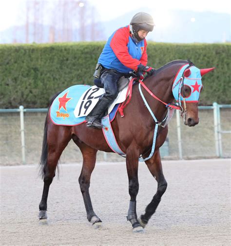 日曜メインレースの注目激走馬東京11r根岸ステークス・g3 Umatoku 馬トク