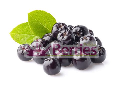 Sok Z Aronii Bio Ekologiczny X Ml Berries