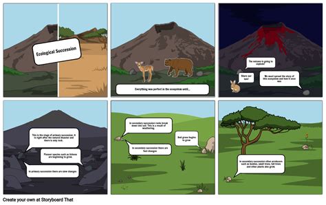 Ecological Succession Comic Strip Project Storyboard