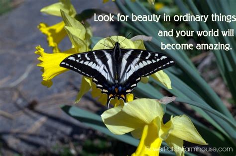 Spring Butterfly Quotes. QuotesGram