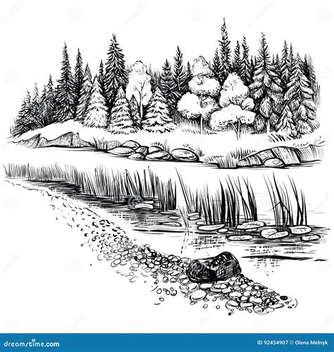 Paysage De Rivière Avec L illustration De Vecteur De Forêt De Conifère